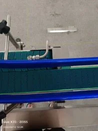 Conveyor Belt
